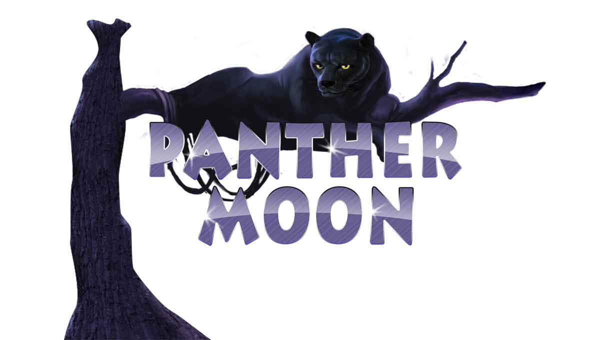 Petualangan Malam Mistis di Panther Moon